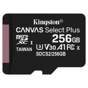 Kingston MicroSD 256GB memorijska kartica - Mgs mobil Niš